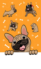 Vector of a cute French Bulldog. With other pose options. Vector.