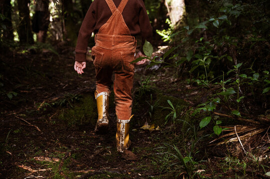 Happy child walking in New Zealand forest