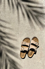 Taupe Buckled Sandals with Palm Tree Shadow Outside