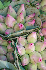 Bouquets of pink and green flowers for sale in Thailand.