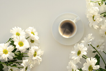 Cup of coffee and white daisies or chamomile flowers on white background, top view