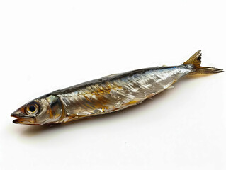 A small fish is shown on a white background. - obrazy, fototapety, plakaty