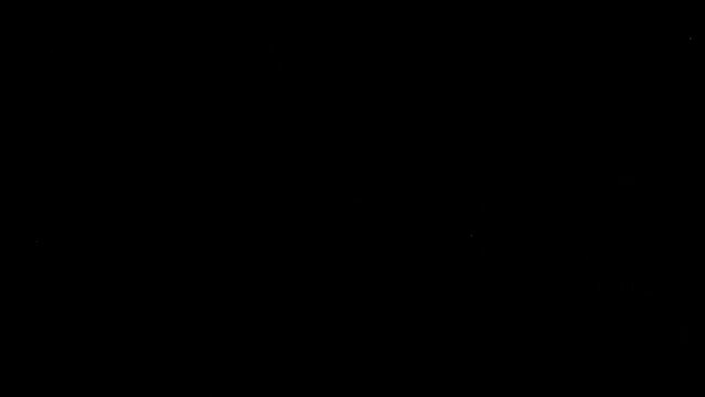 animated fireworks on dark background