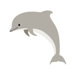 dolphin hand drawing illustration on white background