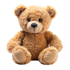 Obraz premium teddy bear isolated on white