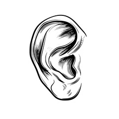 ear silhouette, ear svg, ear png, ear vector, hair, woman, face, illustration, vector, silhouette, beauty, head, tattoo, art, black, fashion, sketch, drawing, symbol, profile, design, style, pattern, 