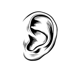 ear silhouette, ear svg, ear png, ear vector, hair, woman, face, illustration, vector, silhouette, beauty, head, tattoo, art, black, fashion, sketch, drawing, symbol, profile, design, style, pattern, 