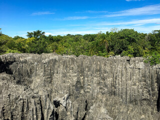 Tsingy De Bemaraha National Park in Madagascar 