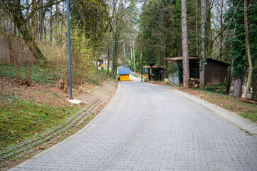 Pavement walkway in park with trees.