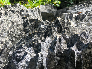 Tsingy De Bemaraha National Park in Madagascar 