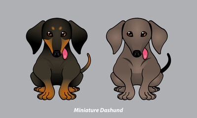 Vector of a cute Miniature Dachshund. With 2 color options. Vector.