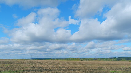 Big yellow field after harvesting. Short cropped stems of golden-colored wheat on the field after...