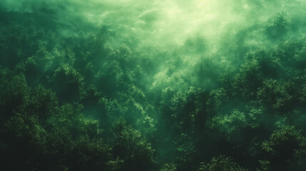 Obraz premium A lush green forest with foggy mist in the background