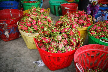 Dragron fruit in the marketin in Chau Thanh, Long An, Vietnam