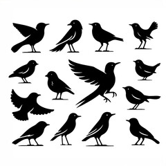 Obraz premium Set of Black Bird Silhouettes in Various Poses Isolated on White Background 