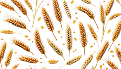 wheat white ears background grain harvest seed plant food yellow bread agriculture farm ear crop ripe isolated organic spike flour nourishment rye healthy natural barley stem cereal grow farming