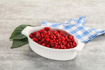 Ripe sweet wild organic cowberry