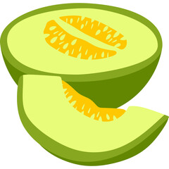 Fresh Melon Illustration