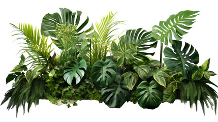 Tropical Floral Arrangement with Plant Bush on Transparent Background.
