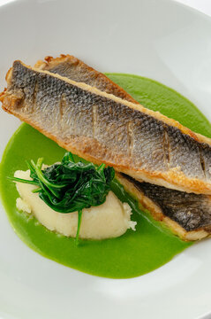 grilled fish with vegetables and sauce
