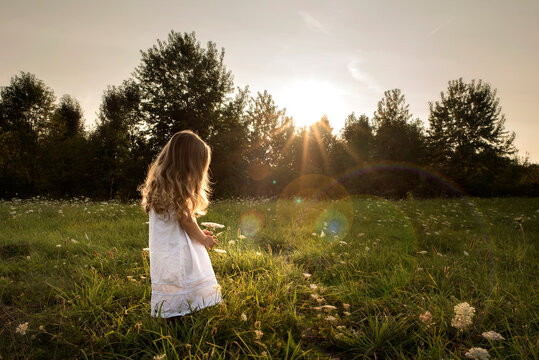 Little girl long blonde curls walking through sunny flower field