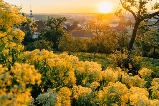 sun rises in the morning, beautiful start day in Prague in summer