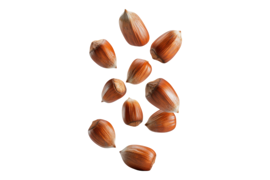 Falling whole hazelnuts isolated on transparent background