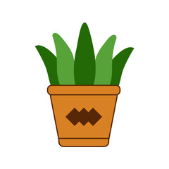Potted Aloe Vera Plant