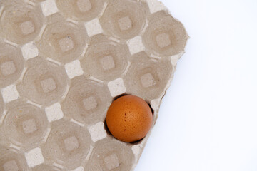 Chicken egg placed on a paper tray with copy space. Top view image of egg and paper tray. Fresh and...