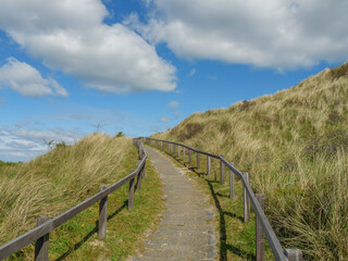 Fototapeta premium Dei Insel Ameland in Holland