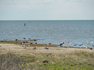 Dei Insel Ameland in Holland