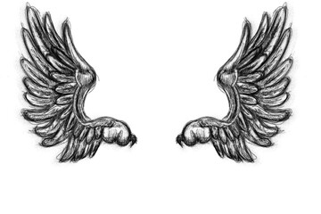 Obraz premium A pair of sketched angel wings on a white background, in a hand-drawn style, expressing the concept of freedom or spirituality