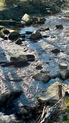 Obraz premium Mountain river, stream of water flowing through a mountain village in Poland