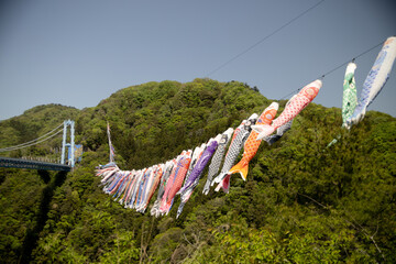 鯉のぼり