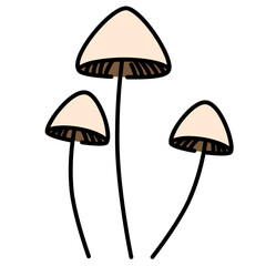 magic mushroom line icon