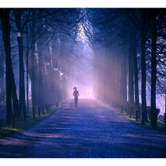 A person jogging alongside a street surrounded by towering trees.