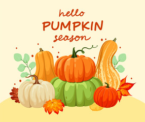 A poster with autumn pumpkins and leaves. Seasonal harvest design for congratulations. Vector banner for the celebration of autumn.

