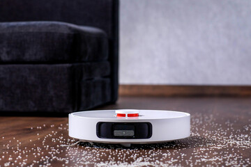 Robot vacuum cleaner vacuums the floor near the sofa. A smart home with automated devices that make...