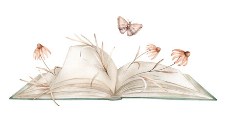 Open book with plants and butterfly watercolor illustration isolated on white background. Books green colors with a fabulous story and flower echinacea. Vintage old textbook watercolor hand drawn.
