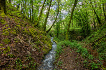 Viaduc des Rochers Noirs et sa promenade
