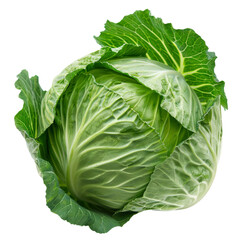 Fototapeta premium Photo of cabbage, Isolated on white background