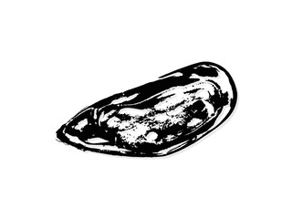 Black and white illustration sketch of a mussel hand drawing vector isolated on white background.
