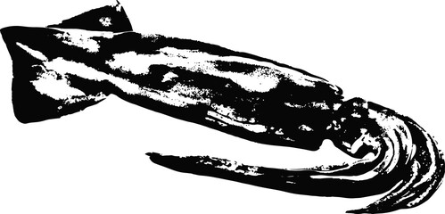Black and white illustration sketch of a squid hand drawing vector isolated on white background.