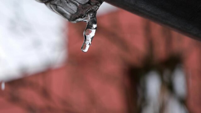 Water drops falling from melting icicle on gutter in early spring