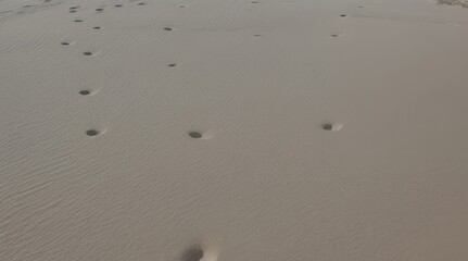 White sand texture background