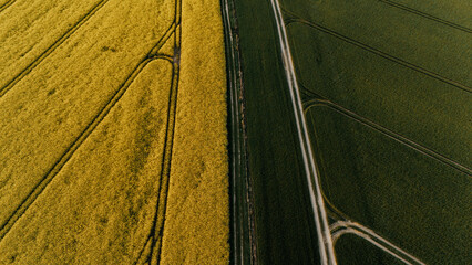 Polna droga © Zuzanna