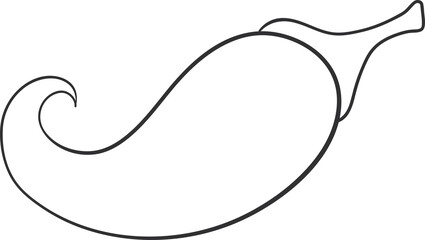 red papper chili spice