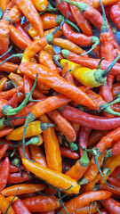 Close up pile of fresh orange chilli placed together in local market as a background.	