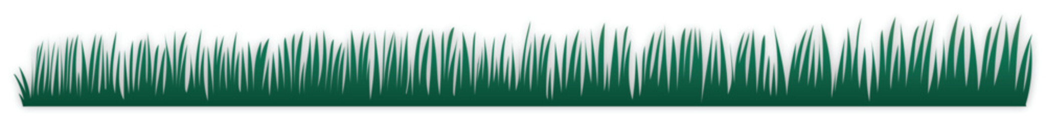 vector of grass 