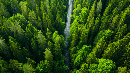Aerial view of a forest with a waterfall.